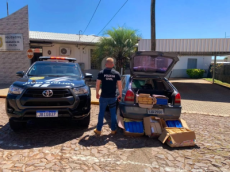 Polícia Civil prende casal de traficantes com 100 kg de maconha em Três Passos