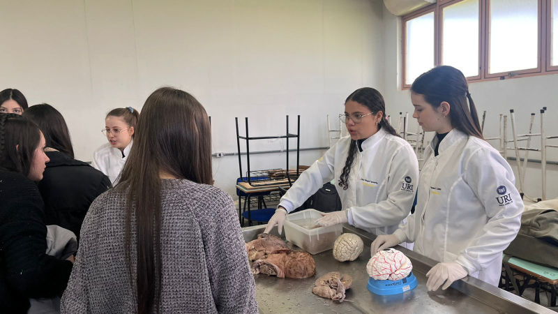 URI Santo Ângelo promove integração entre Universidade e escolas em projeto de extensão sobre o corpo humano