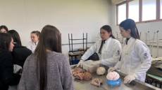 URI Santo Ângelo promove integração entre Universidade e escolas em projeto de extensão sobre o corpo humano