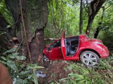 Carro sai da pista e bate em árvores na ERS-342, em Catuípe