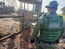 Patram resgata cão em grave estado de saúde após denúncia de maus-tratos em Cruz Alta