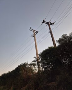 Cermissões investe mais de R$ 15 milhões em redes no primeiro semestre de 2025