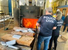 Santo Ângelo e São Luiz Gonzaga incineram mais de 180 quilos de drogas apreendidas