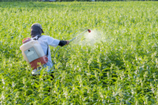 Agrotóxicos atingem população já em vulnerabilidade, segundo especialista