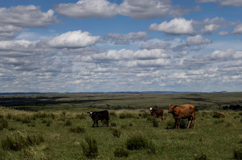 Proposta do ICMBio prevê novas Unidades de Conservação e pode impactar cinco municípios da Região das Missões