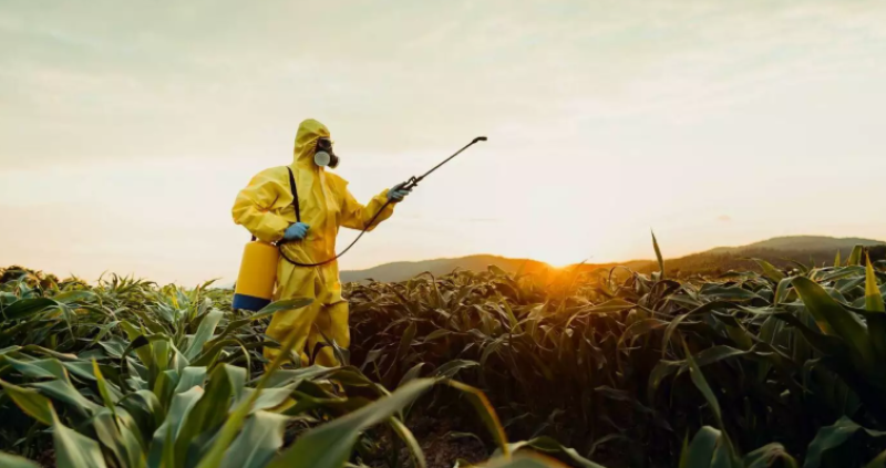Ministério Público do Trabalho pede proibição de herbicida no Brasil