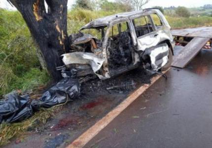 Veículo incendeia após colisão em árvore e homem morre na ERS -168 