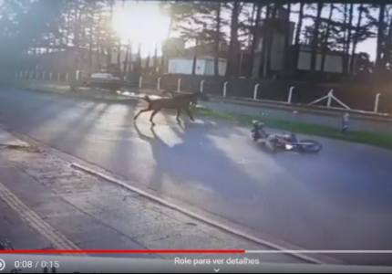 Jovem fica ferido após colidir com cavalo em Santo Ângelo