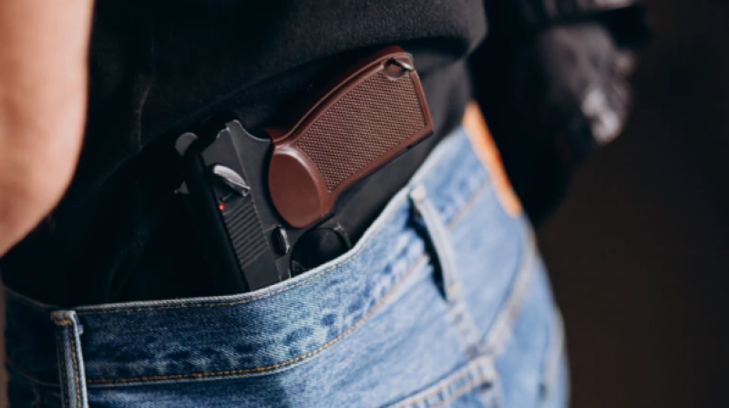 Oposição consulta TSE sobre proibição de armas nas eleições