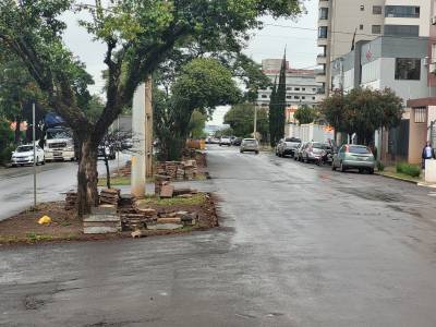 Canteiros  da avenida  Venâncio  Aires serão  revitalizados