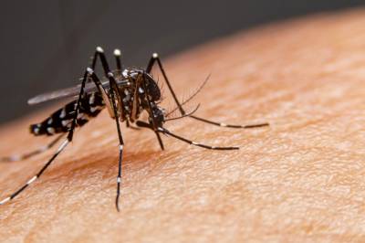 Ijuí registra a sexta morte por dengue