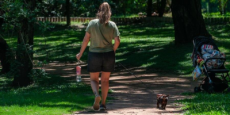 Com 43,8ºC em Quaraí, RS tem recorde de calor em 115 anos