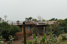 Defesa Civil do RS confirma passagem de tornado por município da região norte