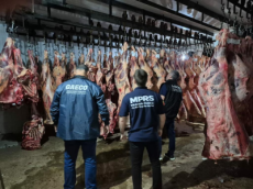 Fiscalização apreende 11 toneladas de produtos impróprios em Santa Rosa