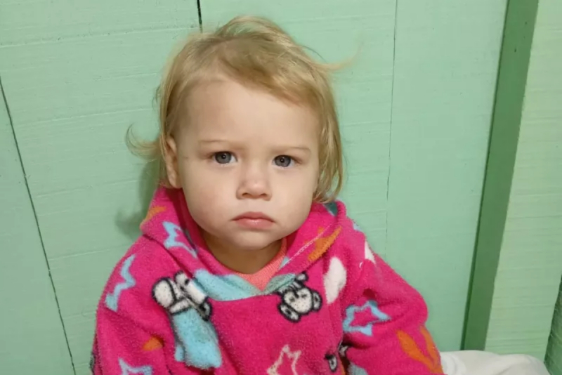 Família pede apoio para menina ferida em ataque de pitbull em Santo Ângelo