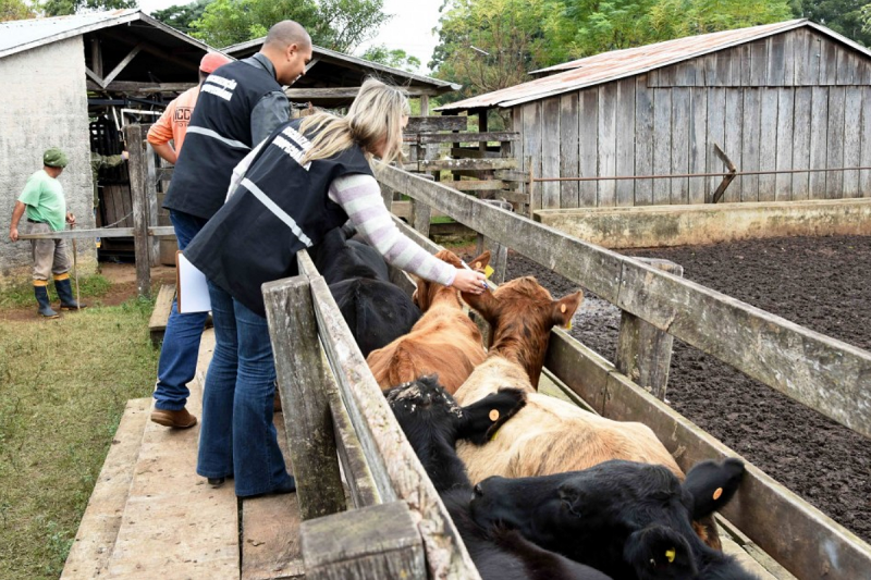 Reorganização do serviço de defesa e vigilância sanitária animal inclui Entre-Ijuís e Vitória das Missões
