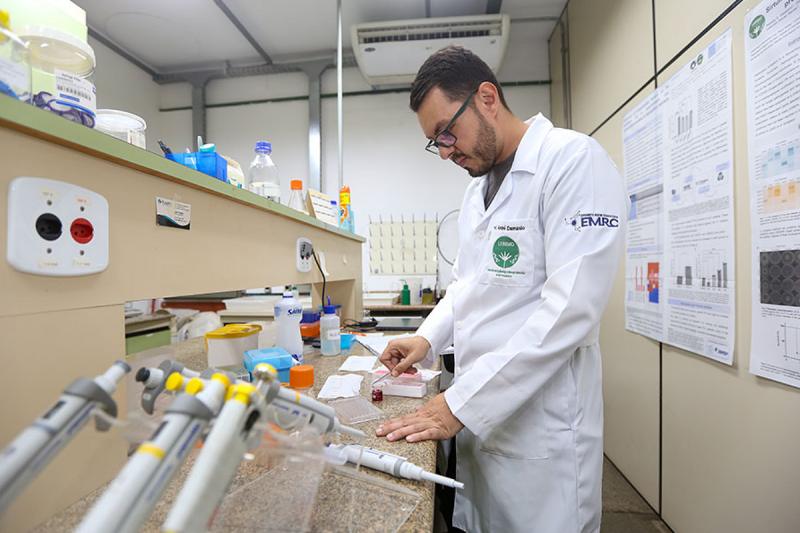 Fungos deverão ser importante fonte de proteína no futuro