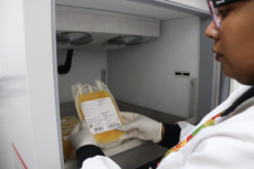 Hemocentro do Rio Grande do Sul moderniza armazenamento de plasma destinado à produção de medicamentos derivados de sangue