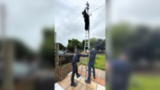 PF deflagra operação contra o tráfico e apreende rede com 30 câmeras usadas pelo crime em São Borja