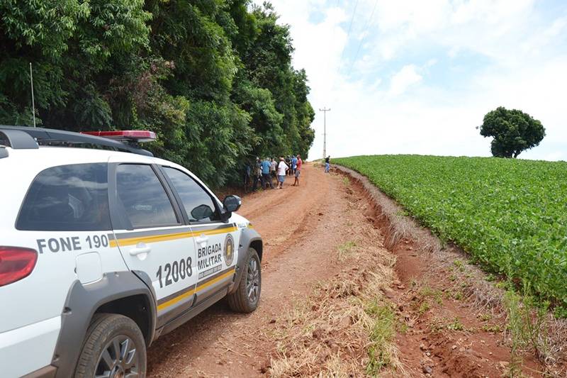 Agricultor morre após ataque de abelhas, em Ronda Alta 