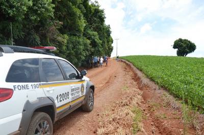Agricultor morre após ataque de abelhas, em Ronda Alta 