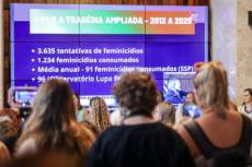 Comissão externa aponta falhas estruturais e cobra políticas públicas para conter feminicídios no RS