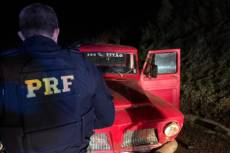 Homem morre após caminhonete sair da pista e capotar na BR‑285