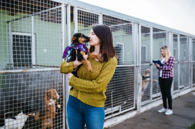 Oito em cada 10 pets adotados no Brasil vêm de resgates de rua ou redes informais