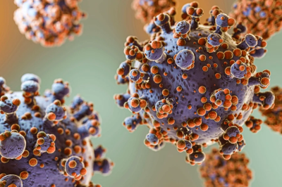 Cicada: nova subvariante da Covid-19 é monitorada. Veja o que se sabe