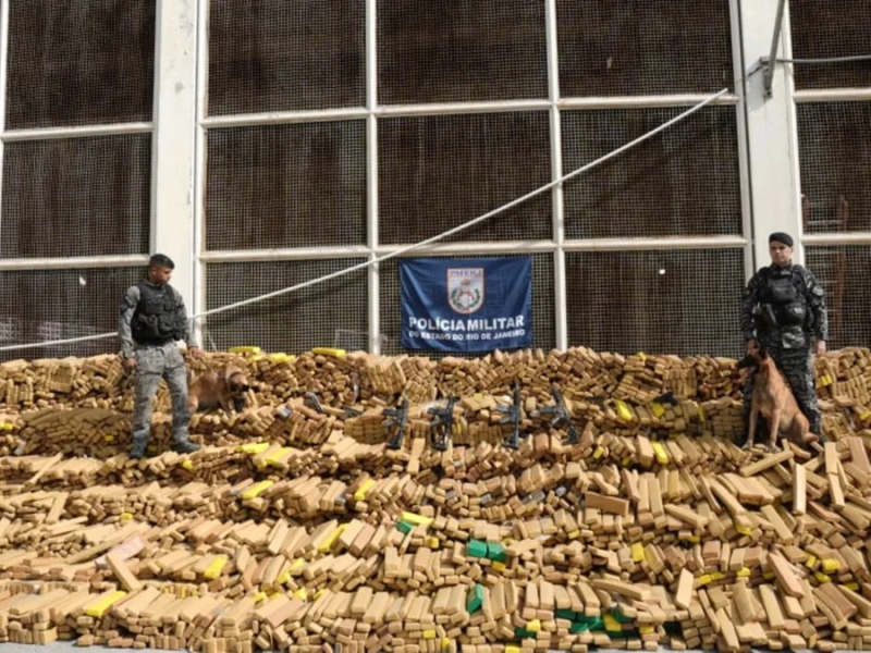 Cão leva Polícia a fazer apreensão recorde de 48 toneladas de maconha no Rio