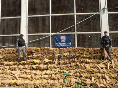 Cão leva Polícia a fazer apreensão recorde de 48 toneladas de maconha no Rio