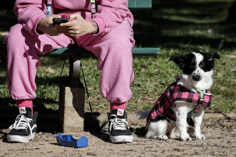 Frio dá sinais nesta quinta-feira, mas não se impõe: quando a temperatura cai de vez no RS?