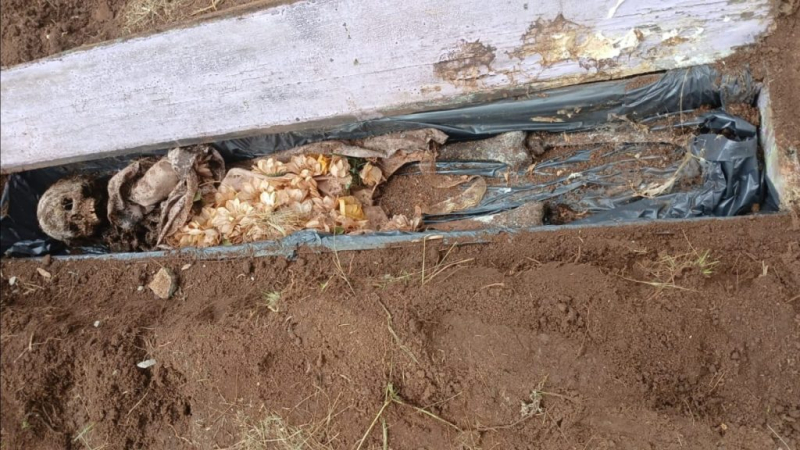 Descoberta macabra em Três Barras: inquilino cava horta e encontra caixão com ossada humana