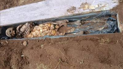 Descoberta macabra em Três Barras: inquilino cava horta e encontra caixão com ossada humana