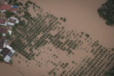 Como o produtor gaúcho pode se preparar para enfrentar El Niño previsto para o 2º semestre