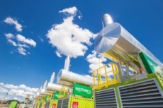 Fenasoja na versão carbono neutro: evento em Santa Rosa terá emissões compensadas