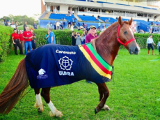 Cavalo Caramelo é homenageado durante o Ladies Day em Porto Alegre