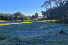 Vacaria registra -2ºC, a temperatura mais baixa do ano no Rio Grande do Sul 