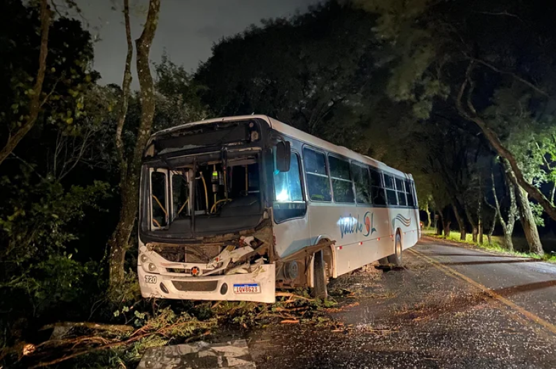 Queda de árvores, aulas suspensas e rajadas de vento acima de 80 km/h: vendaval causa transtornos no RS