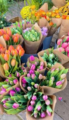 Dia das Mães impulsiona vendas de flores no Brasil com alta de 10%