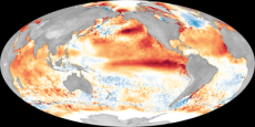 El Niño intensifica riscos a trigo, café, soja e frutas nos próximos meses