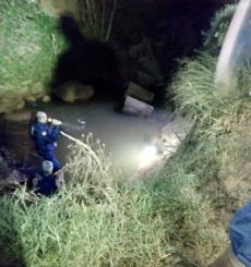 Homem morre após queda de aproximadamente quatro metros em propriedade no interior de São Borja