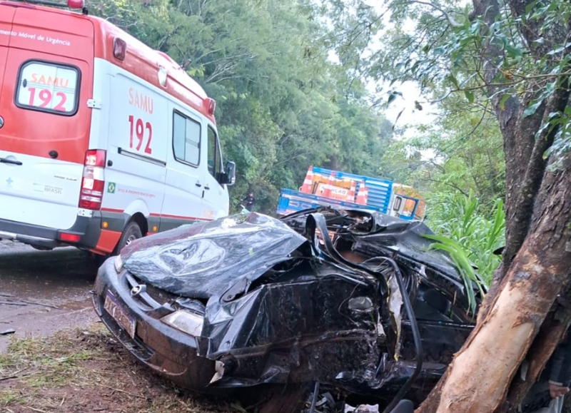 Jovem de 18 anos morre após perder o controle do carro e bater contra árvore entre Tuparendi e Tucunduva