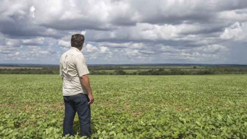 Custo do agro com escala 6x1 será repassado ao consumidor, diz Pedro Lupion