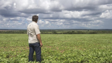 Custo do agro com escala 6x1 será repassado ao consumidor, diz Pedro Lupion