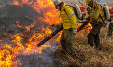 Governo federal destina R$ 337 milhões para combate a incêndios e desmatamento