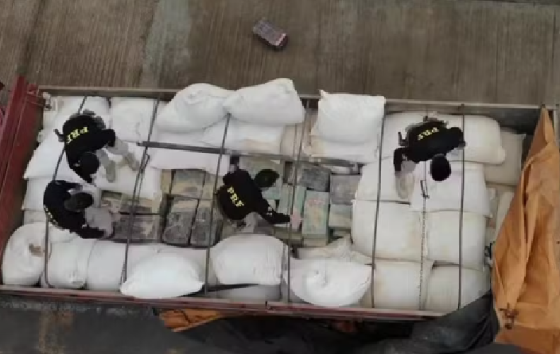 Quase uma tonelada de maconha é apreendida escondida sob carga de ração na BR-386