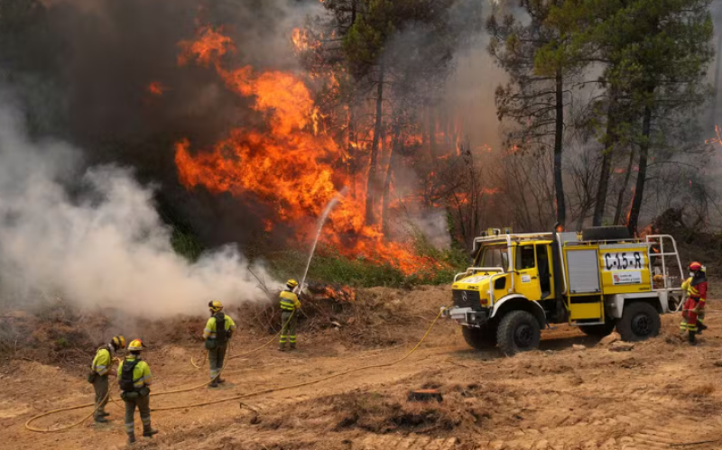 Incêndios florestais forçam saída de 330 mil pessoas na França e Espanha