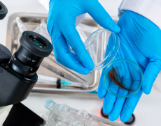 Câmara de Vereadores torna oficial lei que exige exame toxicológico para agentes públicos em Ijuí