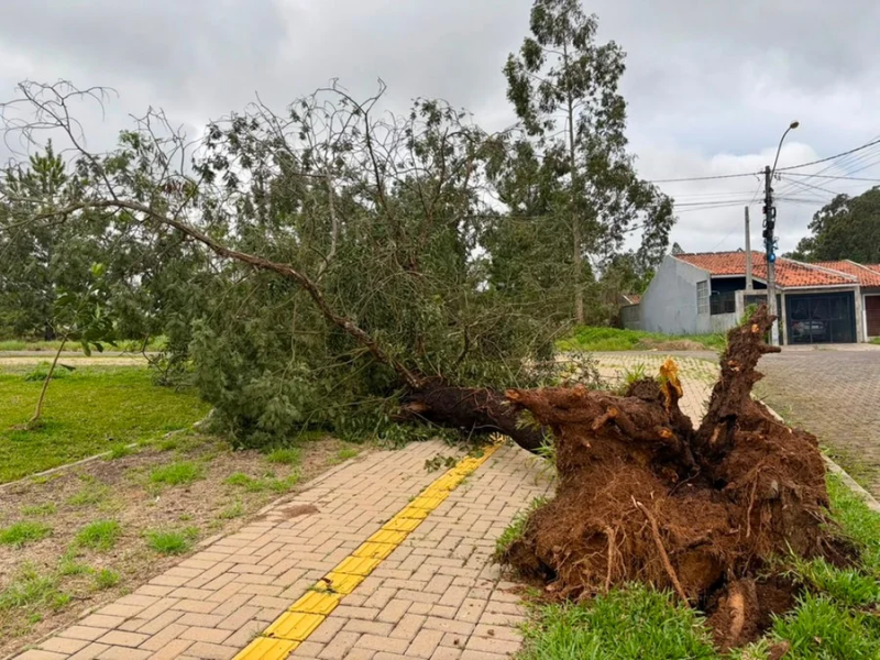 Temporal deixa um morto e cinco feridos no RS